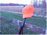 Snoozing in the Magic Deer Stand.